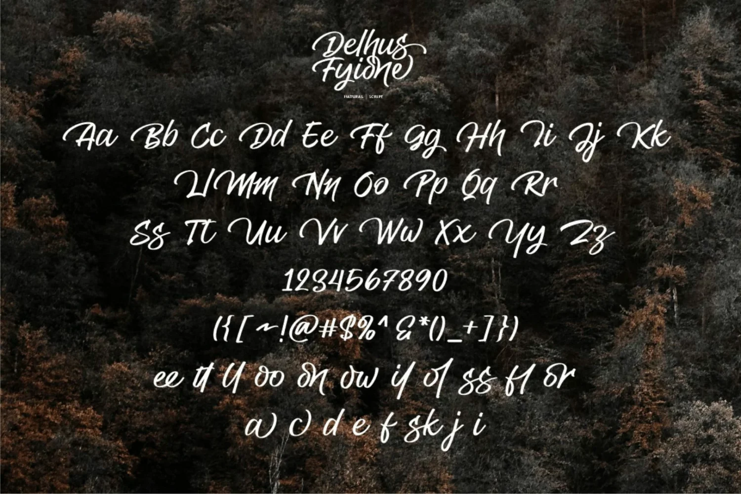 Elegant Handwritten Script Font