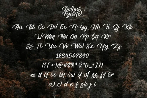 Elegant Handwritten Script Font