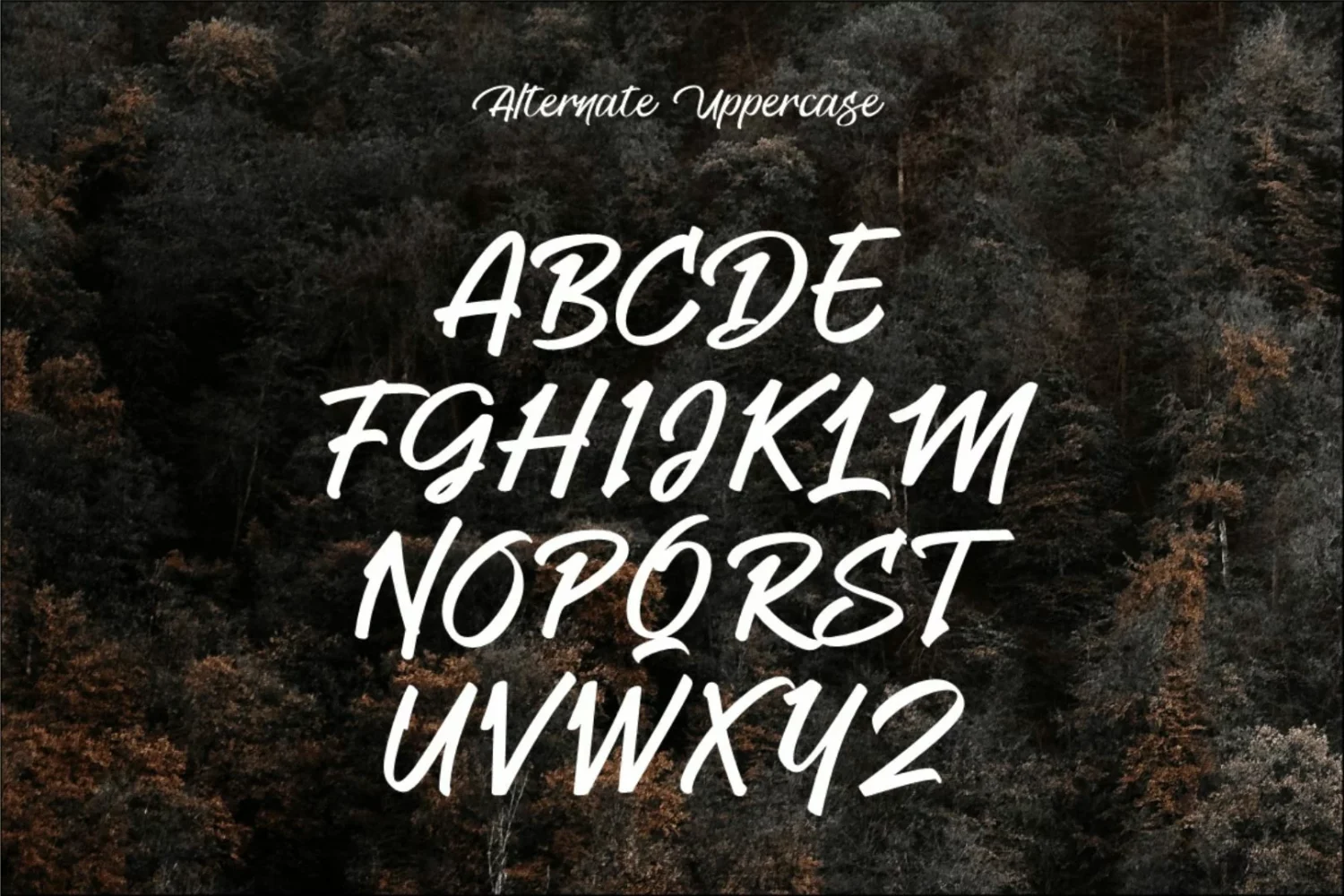 Elegant Handwritten Script Font