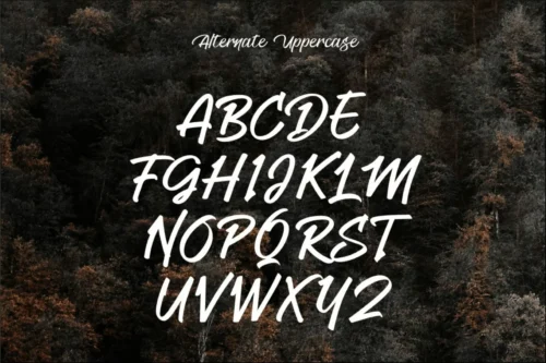 Elegant Handwritten Script Font