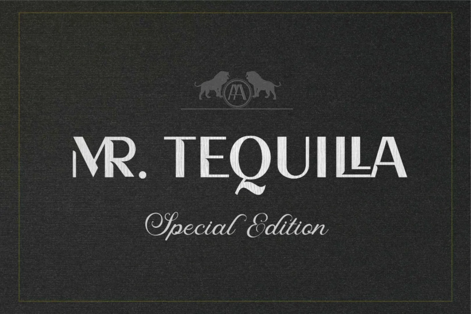 modern-sans-serif-font