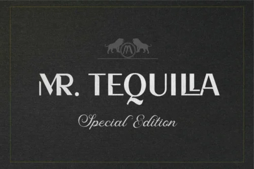 modern-sans-serif-font