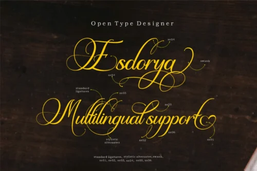 Ornamental Calligraphy Script Font